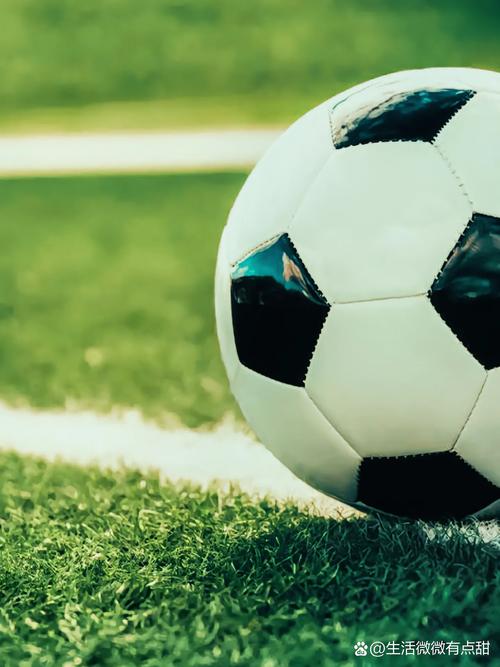 足彩预测使用流程示意图